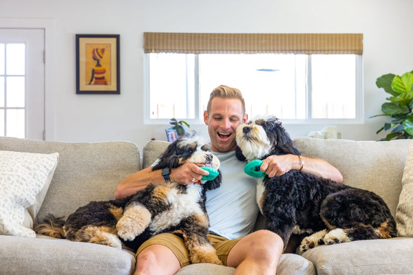Choosing the Right Dog Toys for Different Breeds and Ages