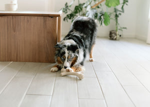 Silicone Dog Toys