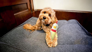 Shop Our FowlPlay Plush Toys