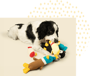 plush dog toys