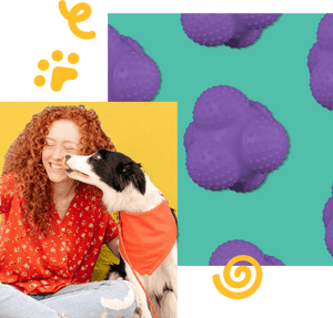 Interactive Dog Toys