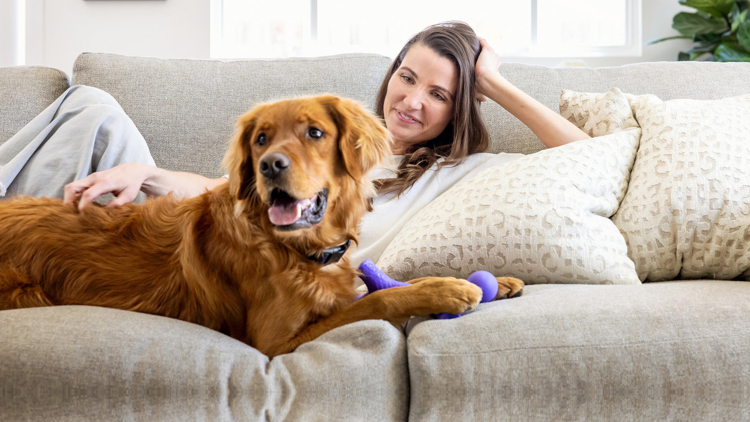 woman and her dog sitting on the couch with a Yomp Ballbone toy