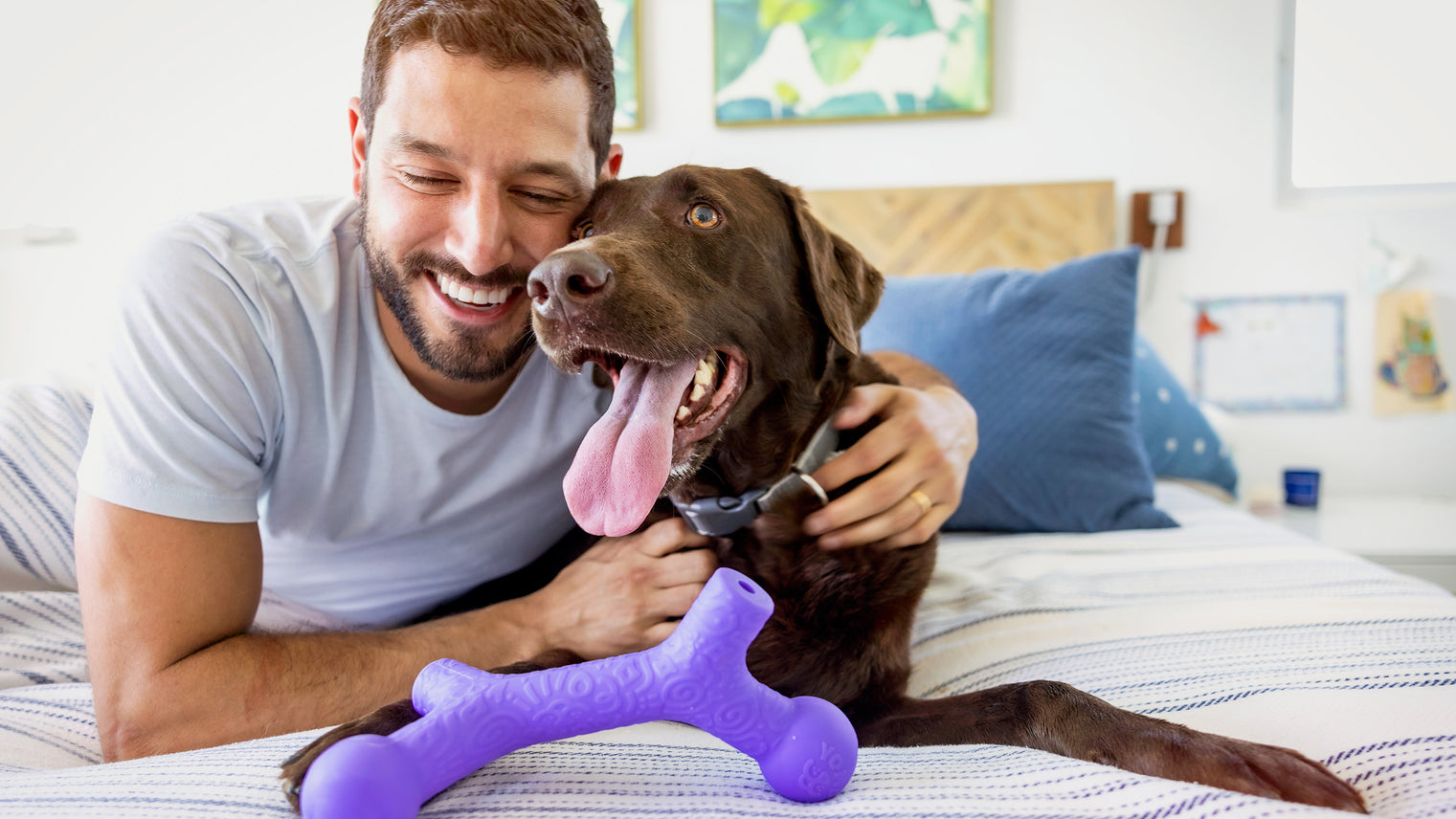 Man and his dog playing with Yomp - BallBone MAX