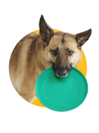 yomp fetch flyer, dog fetch toy Dog Fetch Toys | Frisbees & Flyers