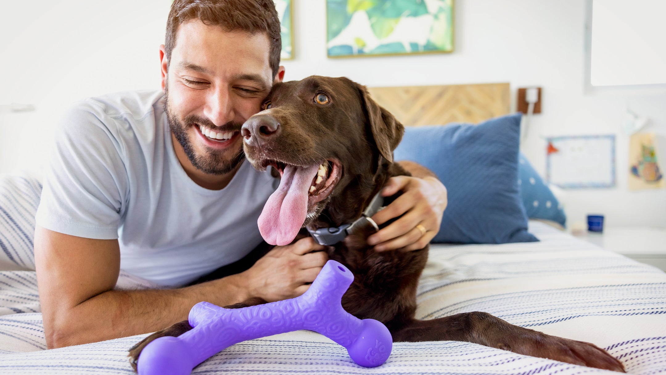 Dog Toy Wholesale Wholesale Dog Toys Made In USA