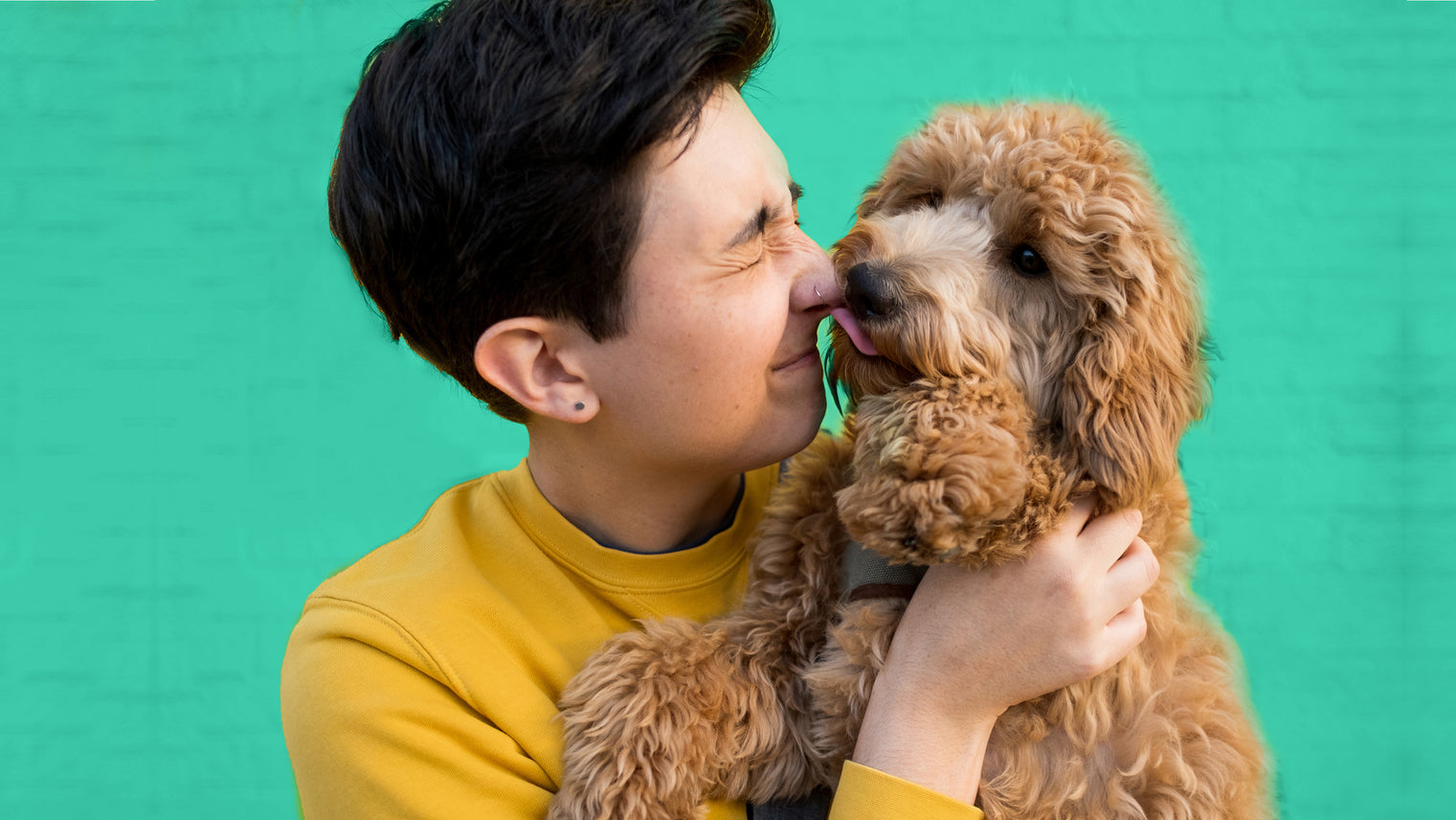 dog with person who is caring
