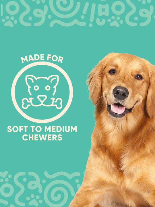 Yomp BetterFeeder Silicone Slow Feeder Dog Bowl – Interactive Puzzle Bowl For Fast Eaters