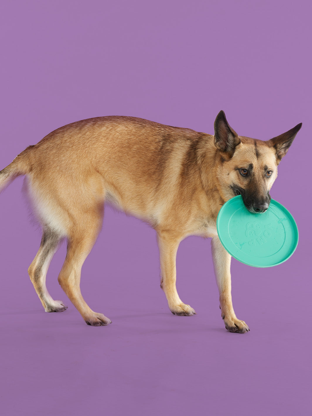 Dog Fetch Toy Frisbees For Dogs silicone FetchFlyer