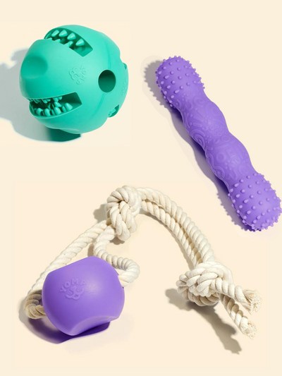 dog ball and rope toys